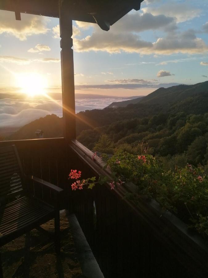 Yancheva Guest House Delchevo Εξωτερικό φωτογραφία