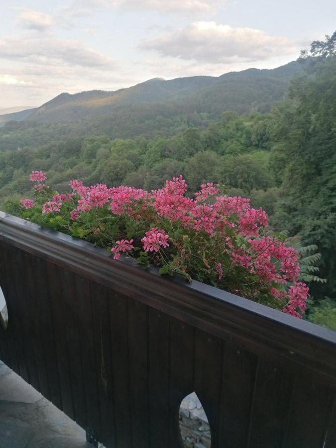 Yancheva Guest House Delchevo Εξωτερικό φωτογραφία